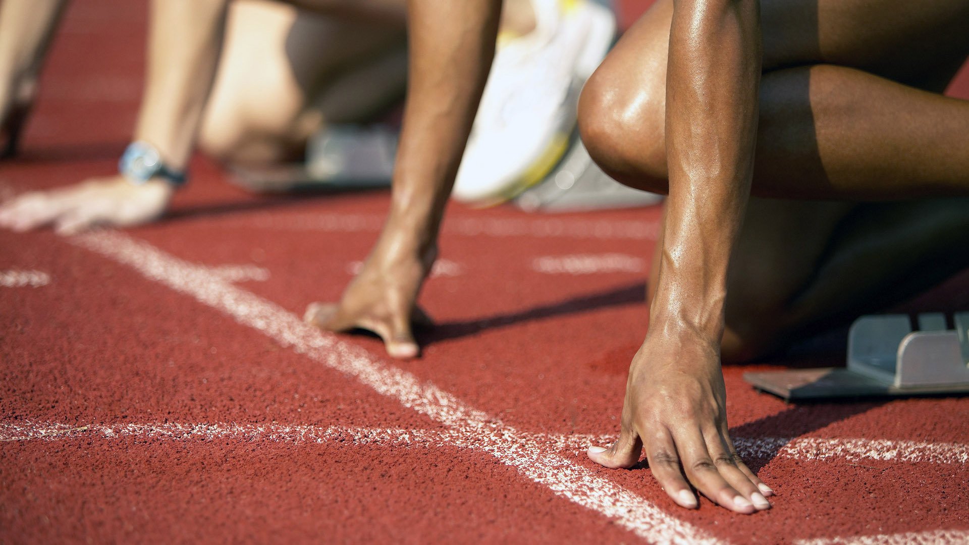 体育新闻中心助力校园体育全面发展，体育新闻中心助力校园体育全面发展的意义